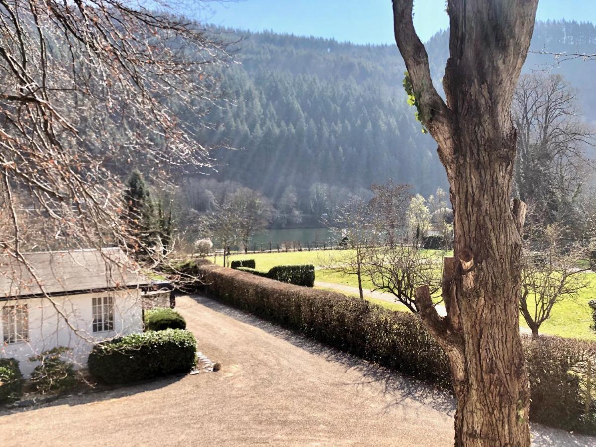 Ferienwohnung Weingut Villa Huesgen Am Moenchhof Трабен-Трарбах Экстерьер фото